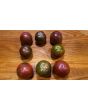 Tomato 'Violet Jasper' AKA 'Tzi Bi U' 