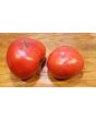 Tomato 'Super Beefsteak'