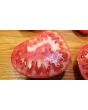 Tomato 'Super Beefsteak'