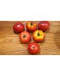 Tomato 'Double Rich' 