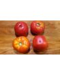 Tomato 'Rutgers'