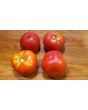 Tomato 'Rutgers'