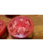 Tomato 'Rutgers'