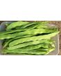 Pole Bean 'Helda' 
