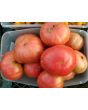 Tomato 'Marianna's Peace' Seeds (Certified Organic)