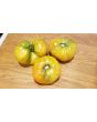 Tomato 'Old German' 