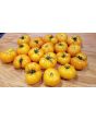 Tomato 'Rumi Banjan'