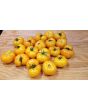 Tomato 'Rumi Banjan'