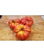 Tomato 'Sicilian Saucer' 