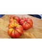 Tomato 'Sicilian Saucer' 