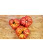 Tomato 'Sicilian Saucer' 