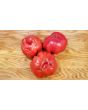 Tomato 'Sicilian Saucer' 