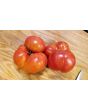 Tomato 'Solar Flare' 