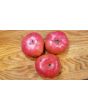 Tomato 'Omar's Lebanese' 