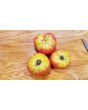 Tomato 'Missouri Pink Love Apple’ Seeds (Certified Organic)