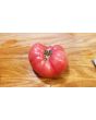 Tomato 'New Big Dwarf'