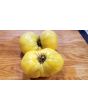 Tomato 'Great White'