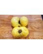 Tomato 'Great White'