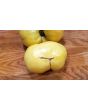 Tomato 'Great White'