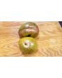 Tomato 'Berkely Tie-Dye'