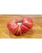 Tomato 'Pink Accordion'