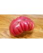 Tomato 'Pink Accordion'