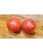 Tomato 'Dixie Red F2'
