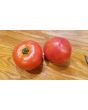 Tomato 'Dixie Red F2'