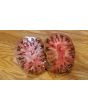 Tomato 'Chloe' Seeds