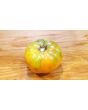 Tomato 'Persimmon'