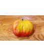 Tomato 'Uncle Johnny's Giant' 