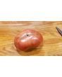 Tomato 'Cherokee Purple'