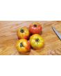 Tomato 'Peron Sprayless' 