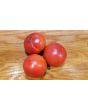 Tomato 'Peron Sprayless' 