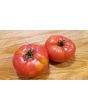 Tomato 'Adventure' Seeds (Certified Organic)
