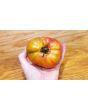 Tomato 'Giant Belgium' Seeds