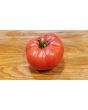Tomato 'Italian Beefsteak' Seeds (Certified Organic)
