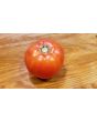 Tomato 'Ruth's Perfect'