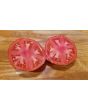 Tomato 'Ruth's Perfect'