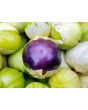 Tomatillo 'Purple'