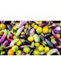 Eggplant ‘Turkish Orange’