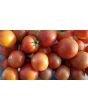 Tomato 'New Yorker' Seeds (Certified Organic)