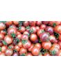 Tomato 'Blue Pitts' 