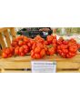 Tomato 'Reisetomate' Seeds (Certified Organic) 