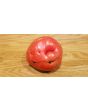 Tomato 'Palo Alto'