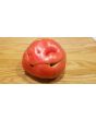 Tomato 'Palo Alto'