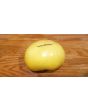 Tomato 'Great White'