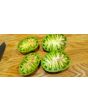 Tomato 'Berkely Tie-Dye'