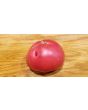 Tomato 'Missouri Pink Love Apple’ Seeds (Certified Organic)