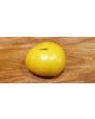 Tomato 'Pork Chop' Seeds (Certified Organic)